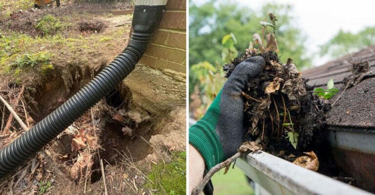Why California Gardeners Should Check Their Gutters Before The First Heavy Rain