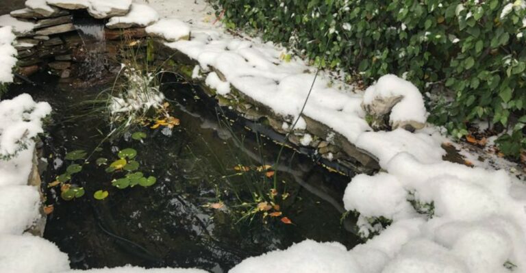 What Every New York Pond Owner Should Finish Before The First Freeze