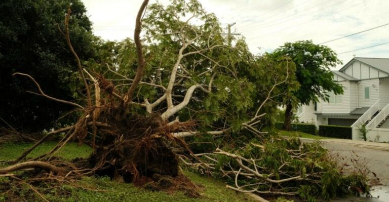 8 Storm Damage Signs New York Homeowners Should Check After A Nor’easter