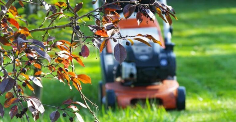 Should You Keep Mowing Your Pennsylvania Lawn In October? Here’s When To Stop