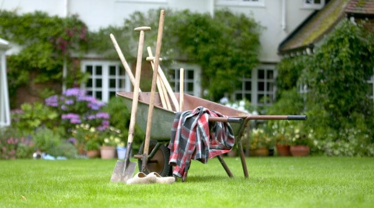 Wisconsin Gardeners Who Service Tools Now Give Spring a Better Start