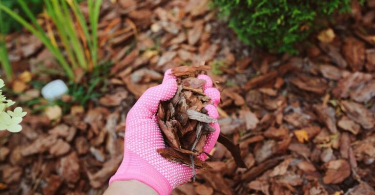The California Plants Worth Mulching Heavily Before Fall