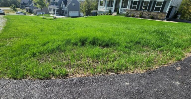 8 Warning Signs Your New York Lawn Is Not Ready For Winter