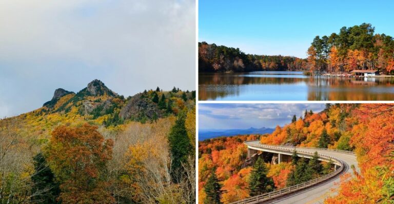 Why North Carolina’s Fall Foliage Won’t Follow A Normal Road Trip Schedule This Year