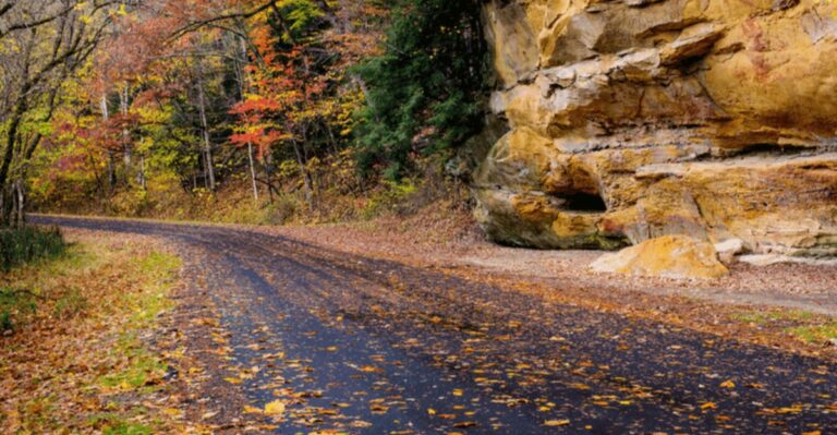 The Best Scenic Drives In Ohio For Peak Fall Color