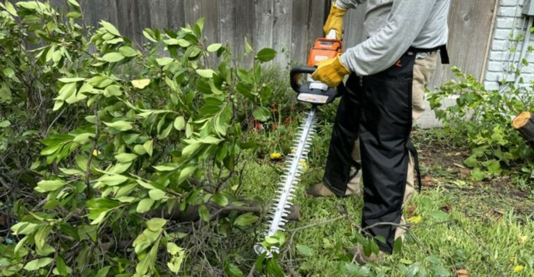 Can You Trim An Overgrown Hedge In September In Ohio, Or Should You Wait