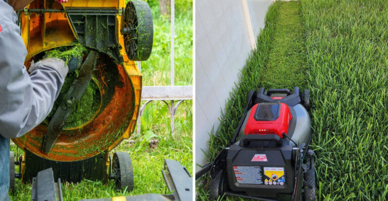 The One Thing Michigan Gardeners Should Do To Mower Blades Before Fall