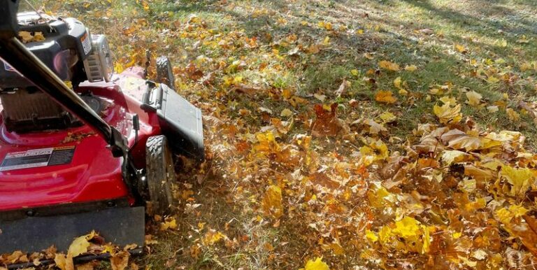 Rake fewer times this fall by mulch-mowing your leaves straight into the Wisconsin lawn