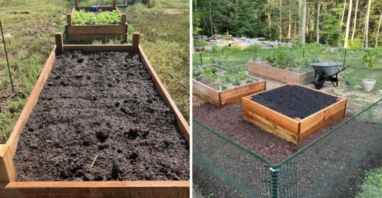 How To Refresh Tired Michigan Raised Bed Soil After A Long Summer