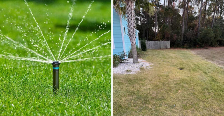 The September Task Georgia Zoysia Grass Owners Often Miss