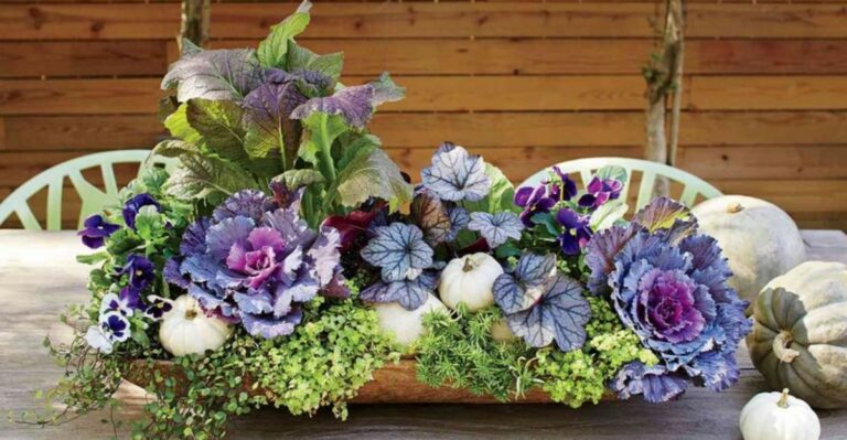 7 Fall Container Plants Virginia Front Porches Need This Season