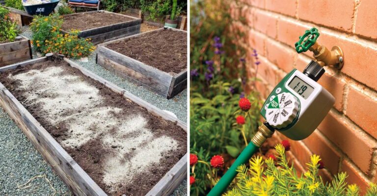 8 California Garden Tasks To Finish Before October Comes To An End