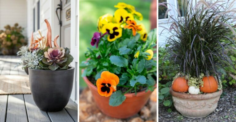 15 Long-Lasting Fall Container Ideas That Can Keep Your Porch Looking Great Until Thanksgiving