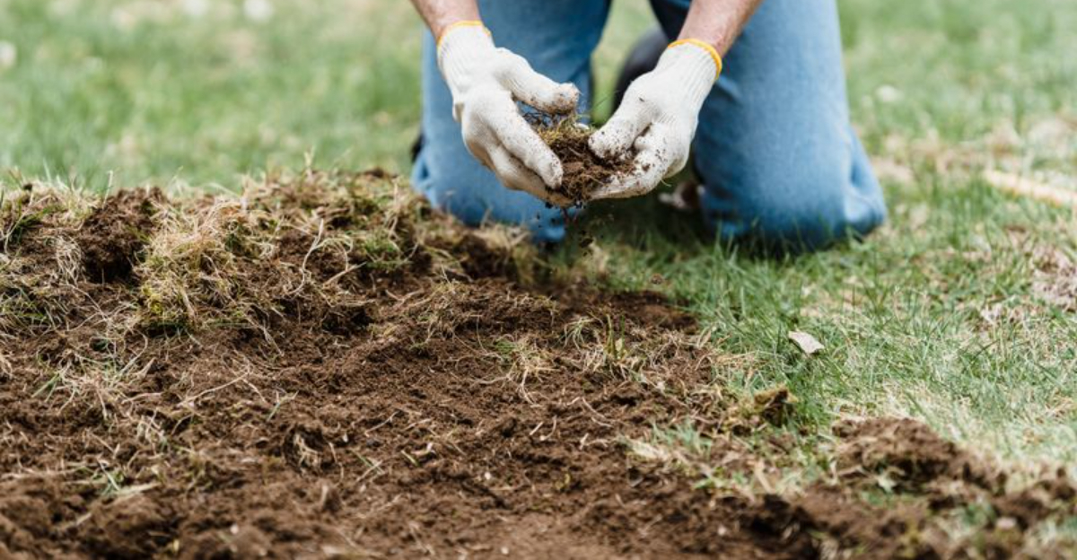 person with gloves checking soil
