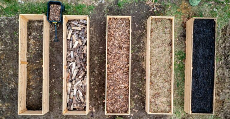 8 Fall Amendments New York Raised Beds Need Before Winter