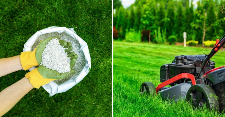 8 Things Florida Bermudagrass Needs In September To Stay Dense Going Into Fall