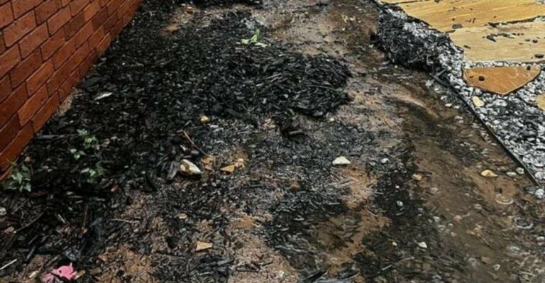 Why North Carolina Mulch Keeps Washing Away In Fall No Matter How Thick You Spread It
