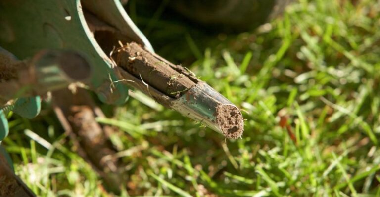 The Compacted Ohio Lawn Problem September Is Perfect For Fixing