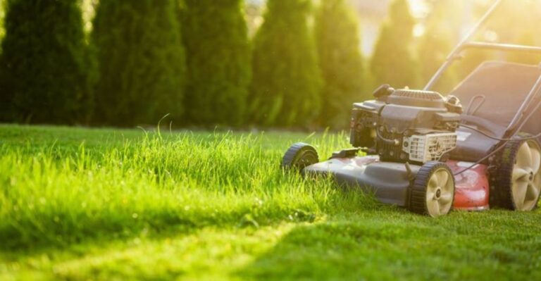 The Grass-Cutting Mistake That Weakens Your Lawn