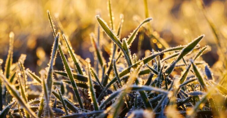 8 Things New York Homeowners Should Do Before The First Overnight Freeze