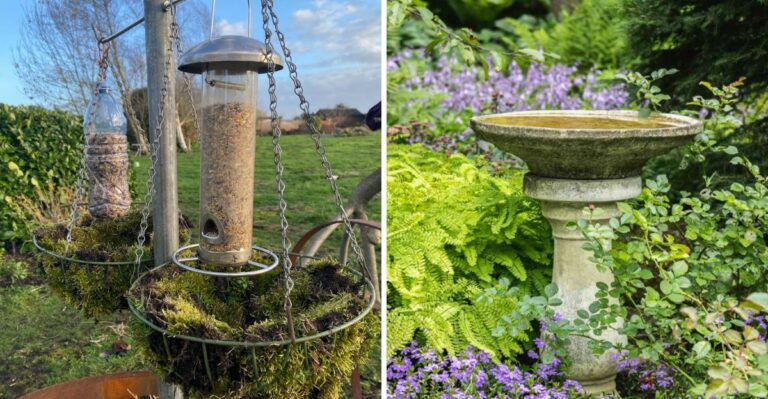 9 Places You Should Avoid Hanging A Bird Bath In Michigan