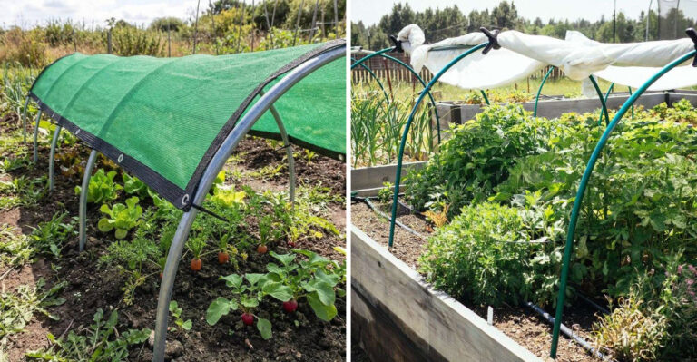 How Michigan Gardeners Can Keep Newly Sown Fall Seeds Moist In Sunny Weather