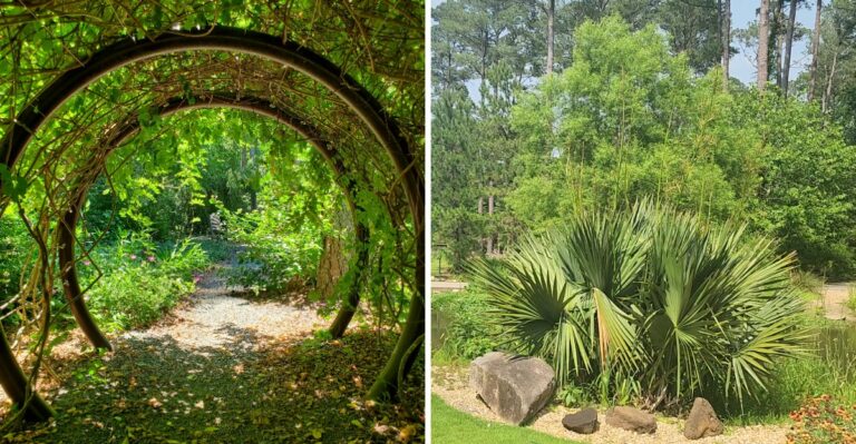The Fayetteville Gem Every North Carolina Garden Lover Needs To See