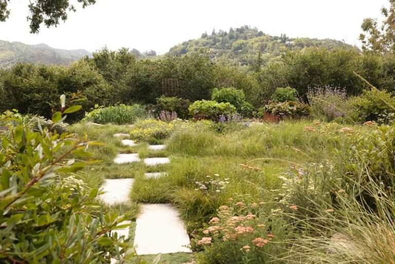 Why More Oregonians Are Putting Native Grasses Along Front Walkways This Fall