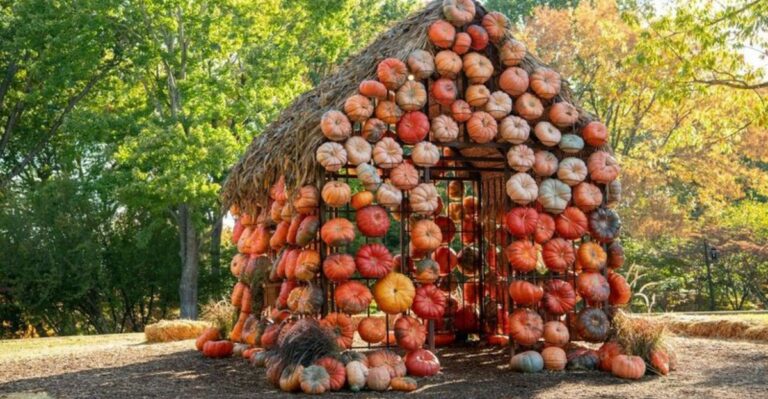 A Nashville Botanical Garden Is Covered In A Hundred Thousand Pumpkins This Fall