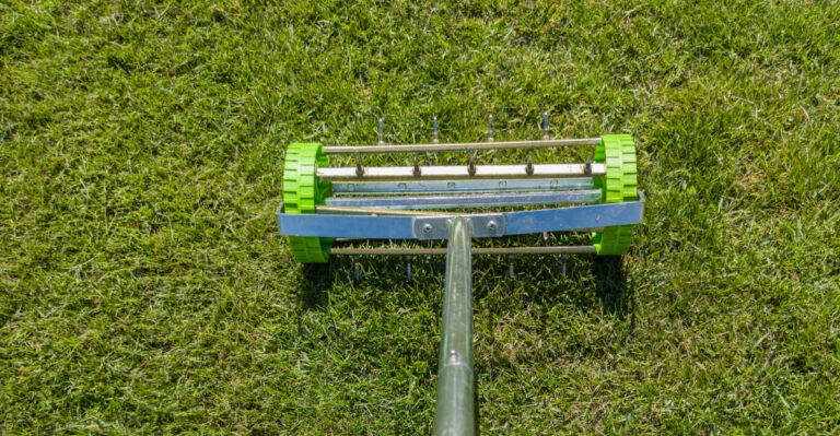 The Narrow September Window That Decides How Maryland Lawns Look Next Spring