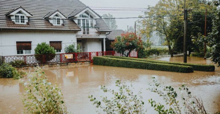 9 Coastal Virginia Yard Tasks To Finish Before The Storm Season Peaks