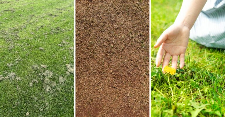 Why This Week Matters More Than Any Other For New Jersey Lawns