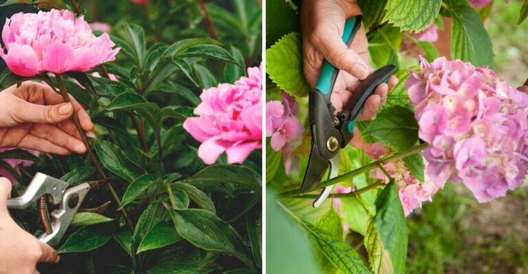 The Ohio Plants Worth Cutting Down Now (And The Ones Worth Leaving Until Spring)