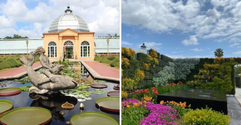 A New Orleans City Park Garden Is Gearing Up For One Of Its Biggest Home Gardening Shows Of The Year
