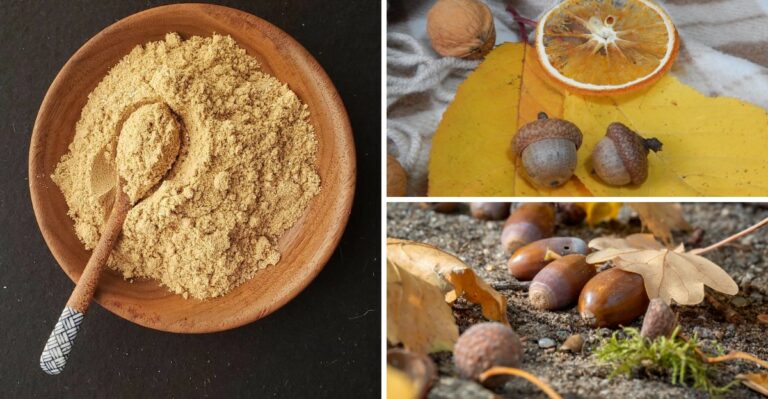 9 Practical Options For What To Do With All Those Acorns Covering Your Lawn