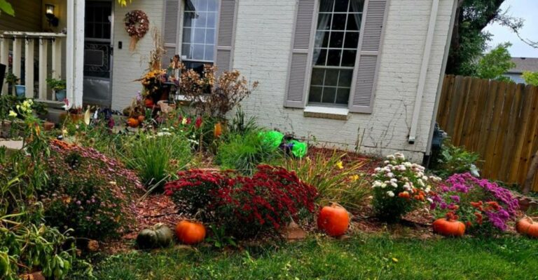perennial garden still blooming in fall
