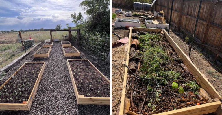 What Heavy Late-Season Storms Mean For Your Pennsylvania Garden Beds