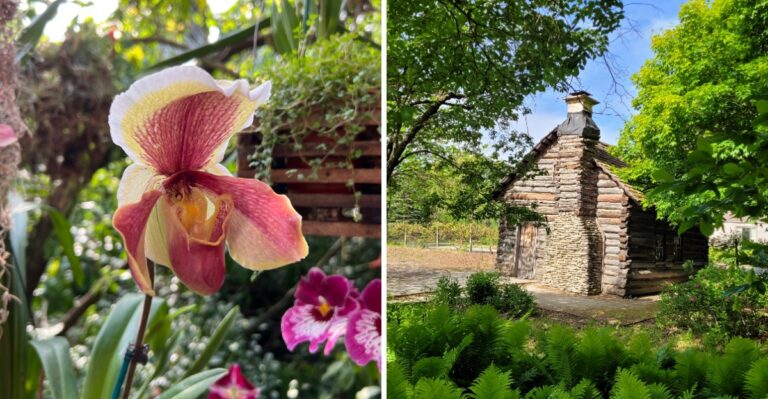 These Ohio Conservatories Keep Blooming All Winter Long