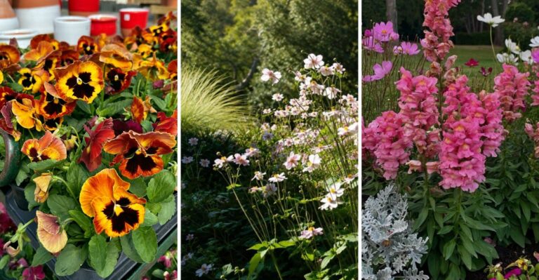 These 8 Flowers Shine When The Weather Cools
