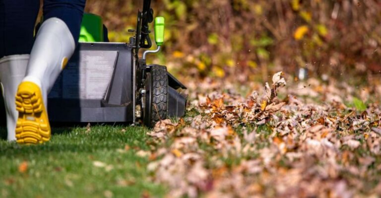 Should You Keep Mowing Your Ohio Lawn In October? Here’s When To Stop