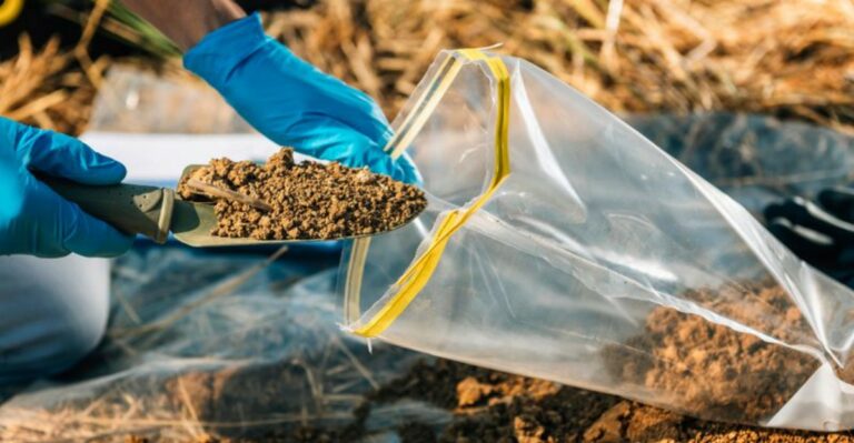 The Most Underrated Soil Test North Carolina Gardeners Do Before Fall Planting