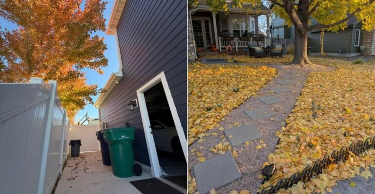 Who Is Responsible For Fallen Leaves From A Neighbor’s Tree In California?