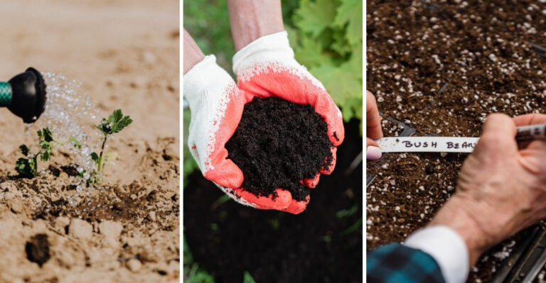 The September Garden Checklist Every Minnesota Gardener Needs Before First Frost
