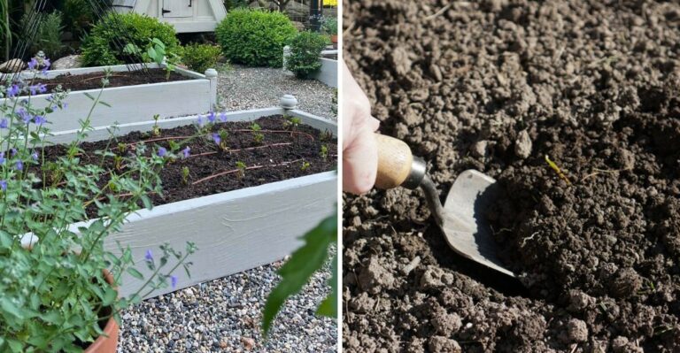 Why Fall Is The Ideal Time To Test Michigan Garden Soil