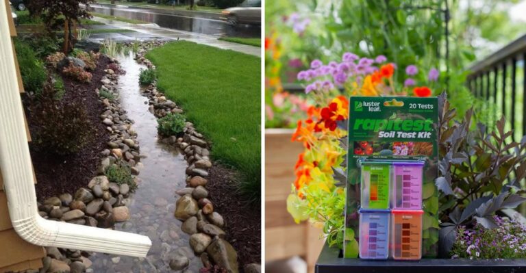 Why California Gardeners Should Rethink Fertilizing Perennials In Fall