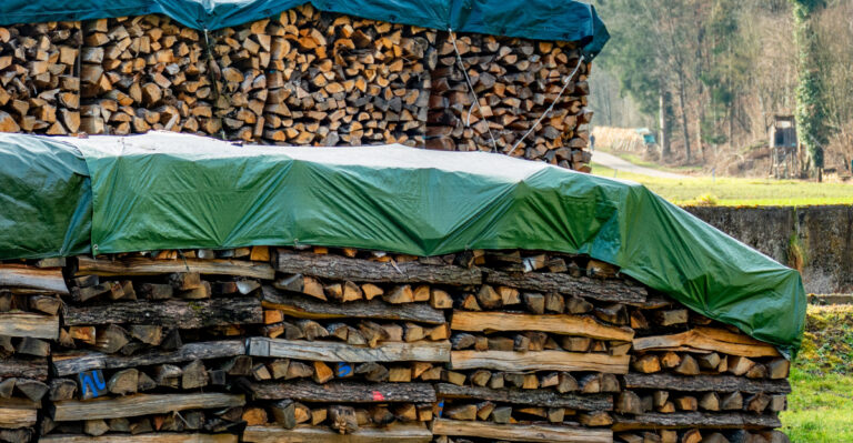 The Missouri Woodpile Rules That Matter Most In September