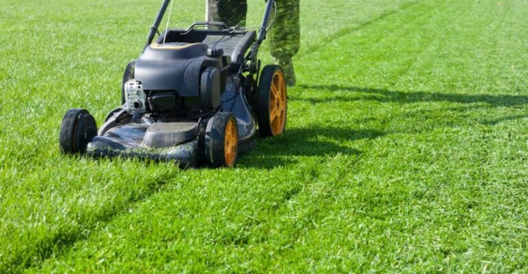 The Grass Height Ohio Lawns Should Enter Winter With