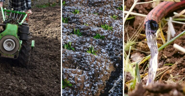 Avoid These 9 Common Mistakes When Preparing Raised Beds For Winter