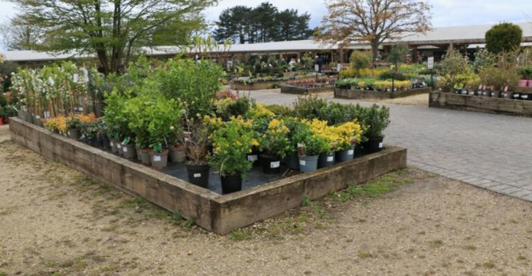 The Ohio Native Nurseries Still Open This Fall, And Why October Is The Best Time To Plant