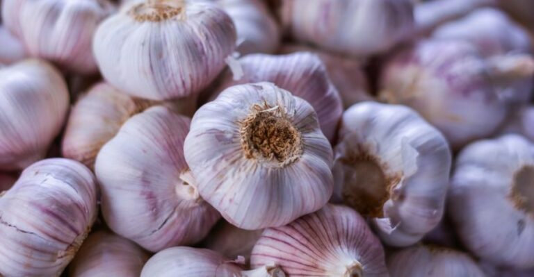 9 Garlic Planting Moves To Make In New York This Week